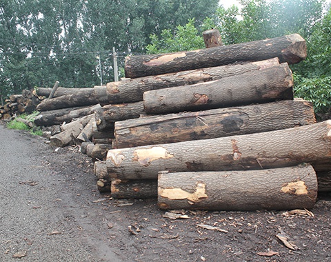 羞羞色院91精品永久站