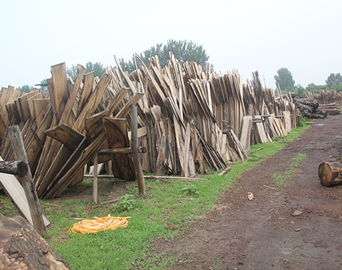 羞羞色院91精品永久站